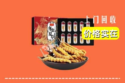 瑞金市回收冬虫夏草